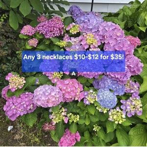 Any three necklaces valued t10 to 12 for $25